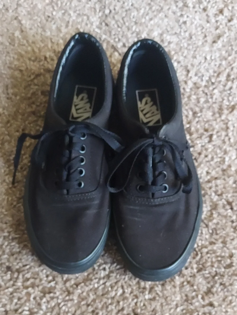 Vans Black Low-Top Sneakers with White Logo